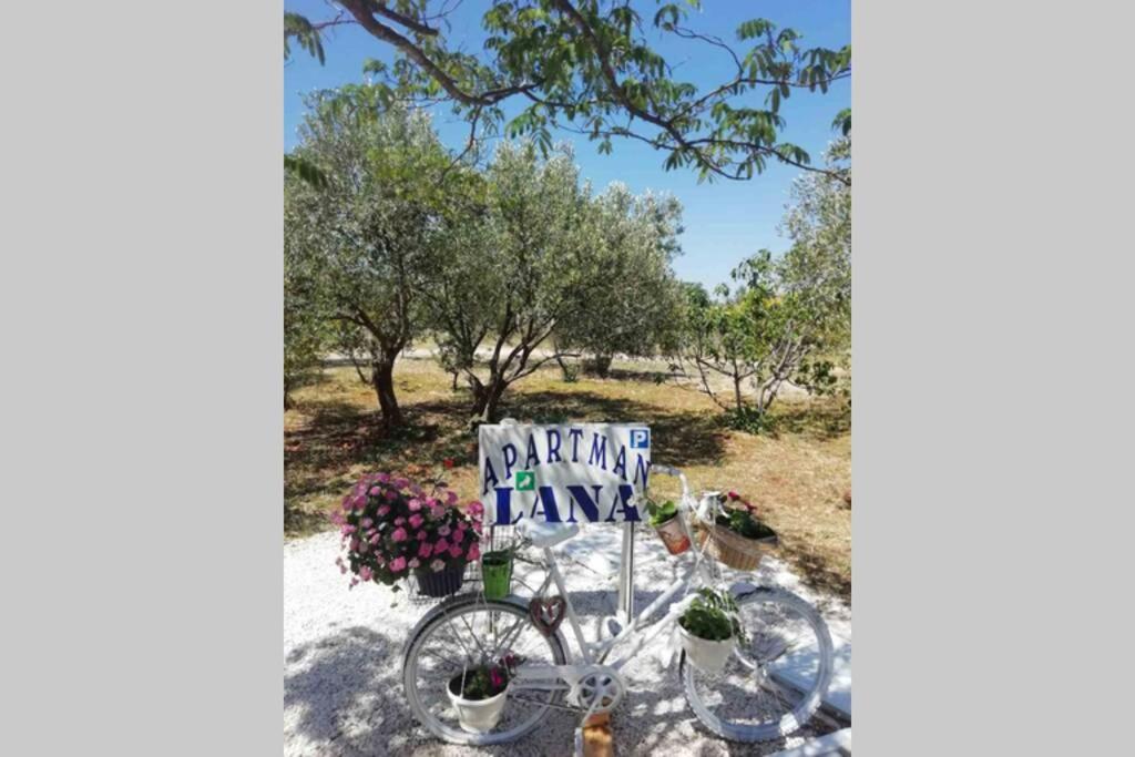 Apartman Lana Lozovac Bagian luar foto